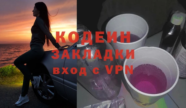 твердый Инта