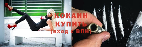 твердый Инта
