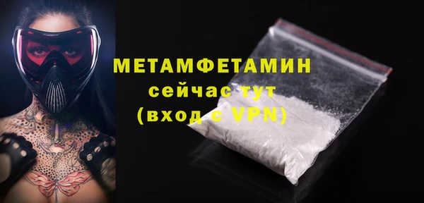 твердый Инта