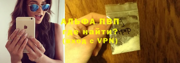 твердый Инта