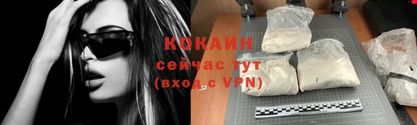 твердый Инта