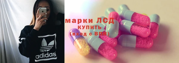 твердый Инта