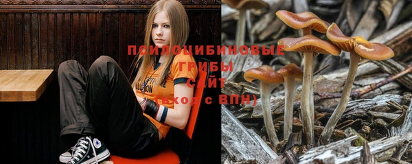 скорость Инсар