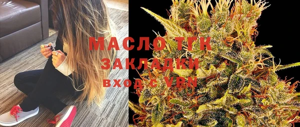 твердый Инта