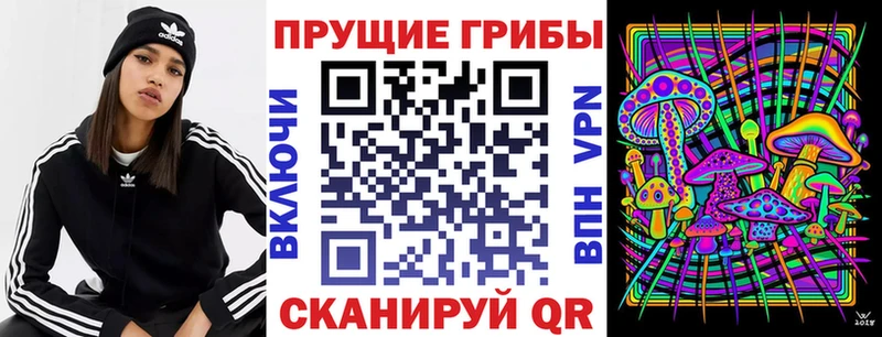 Купить  Волхов  Псилоцибиновые грибы прущие грибы 